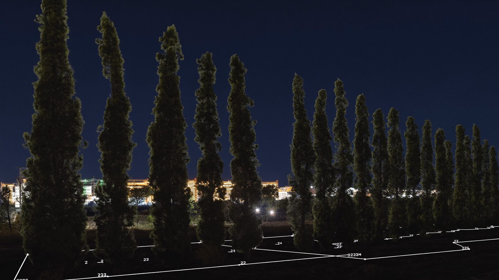 Two staggered rows of evergreen screening trees silhouetted at night against an amber industrial glow