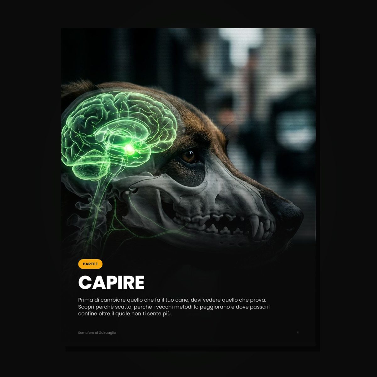 Parte 1 · Capire