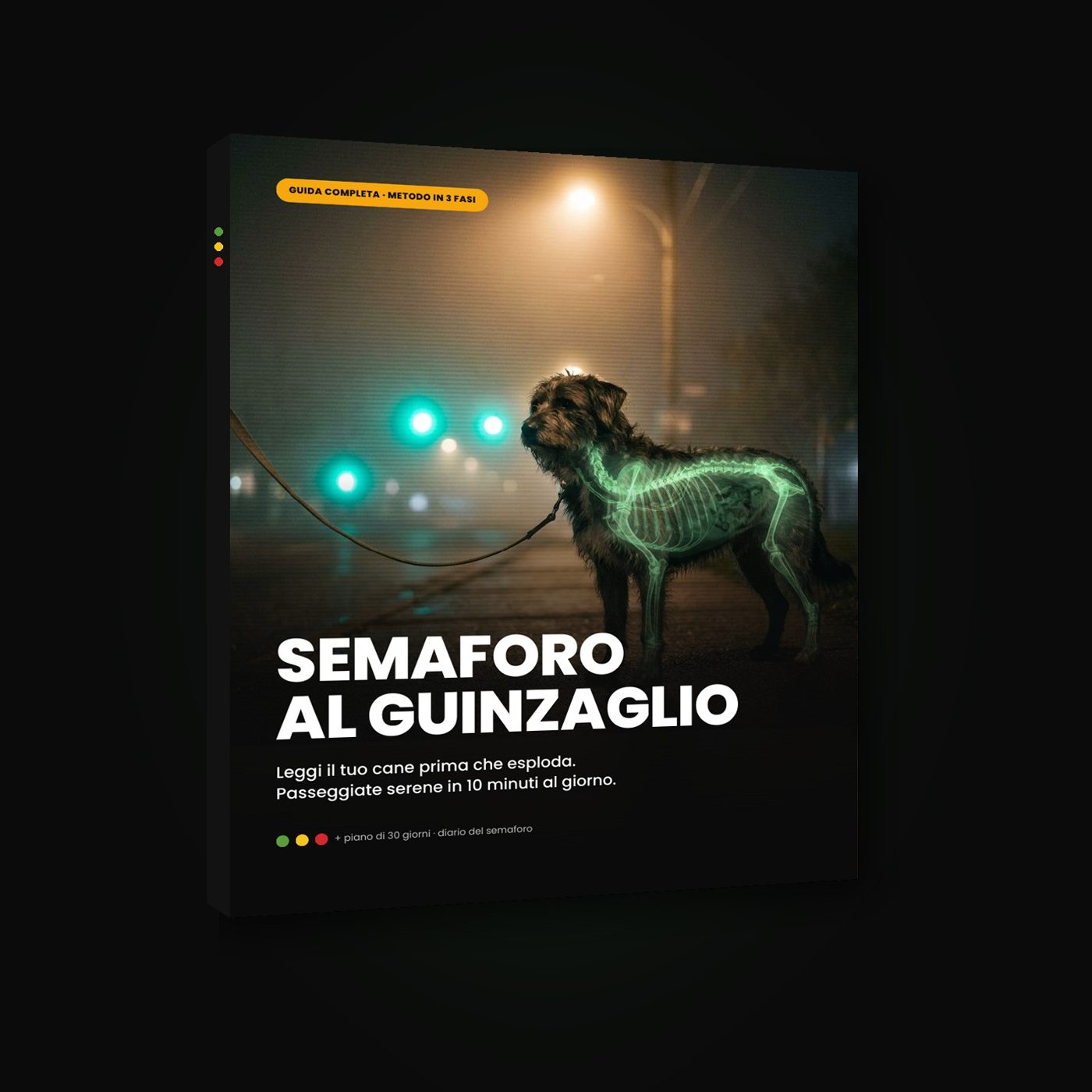 La guida completa