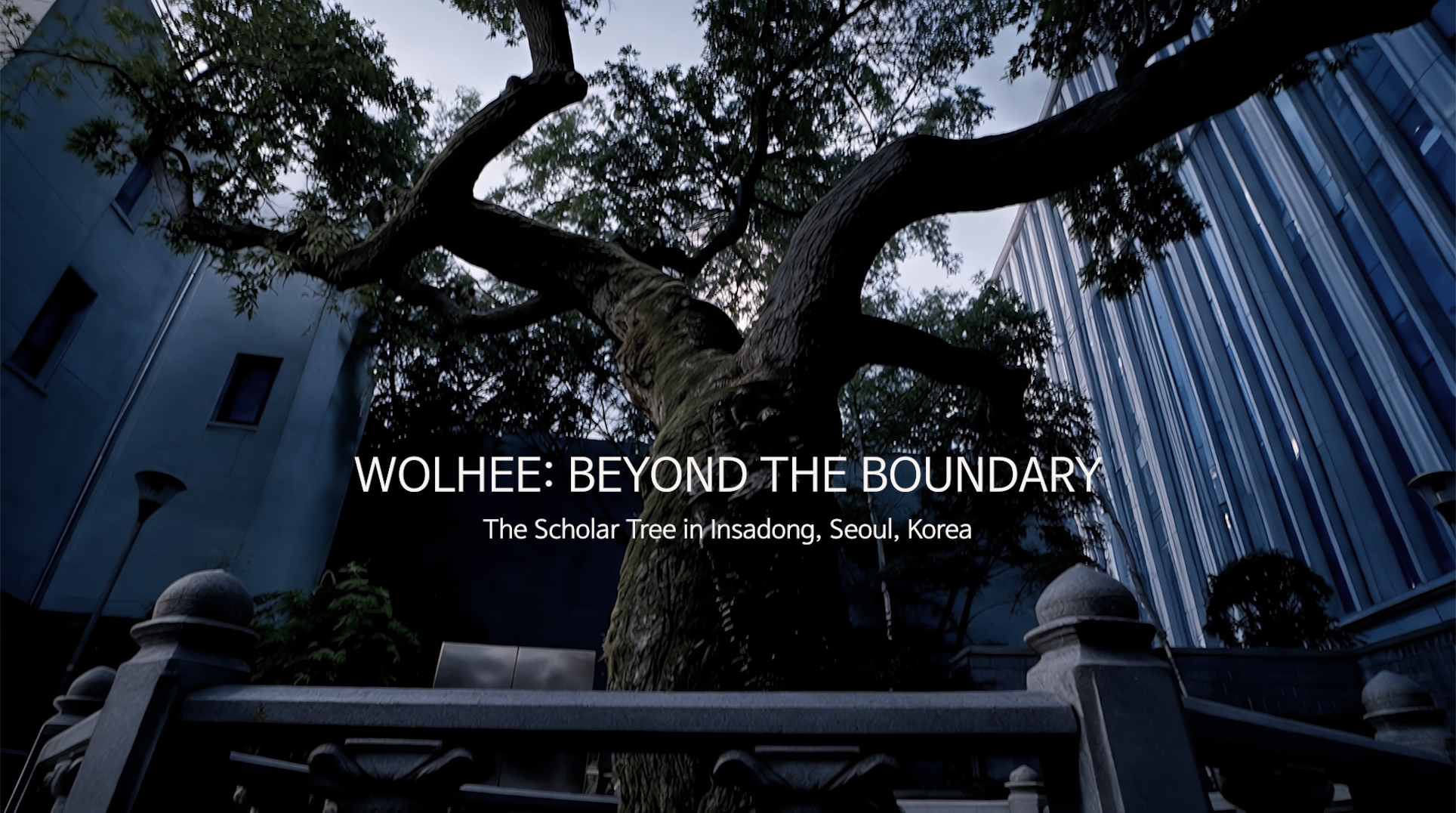 WOLHEE: BEYOND THE BOUNDARY