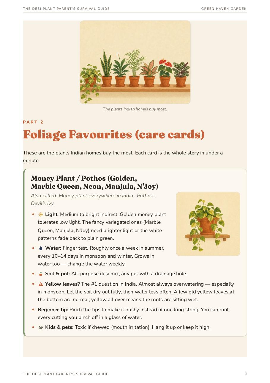 Money plant care card page