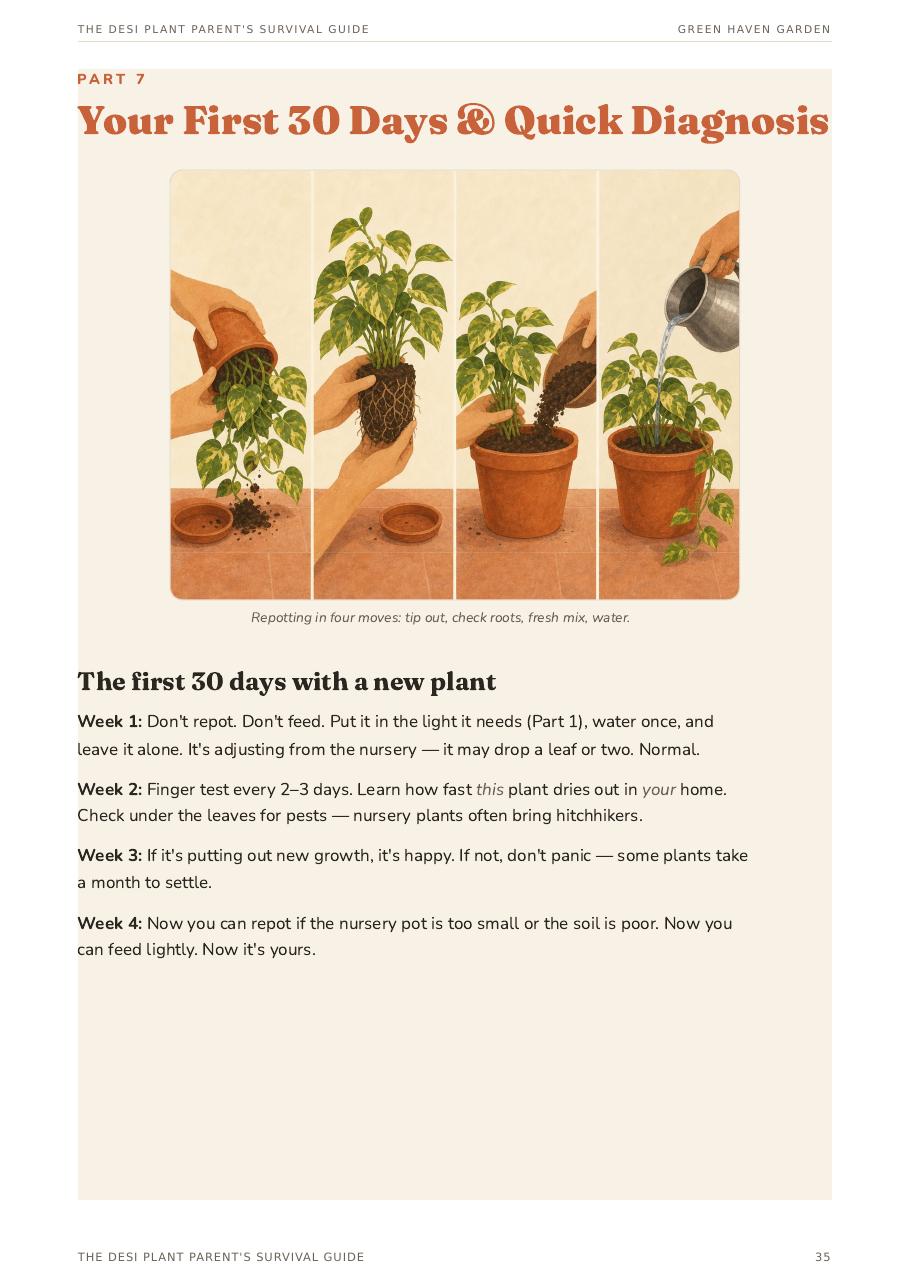 Is my plant dying chart page