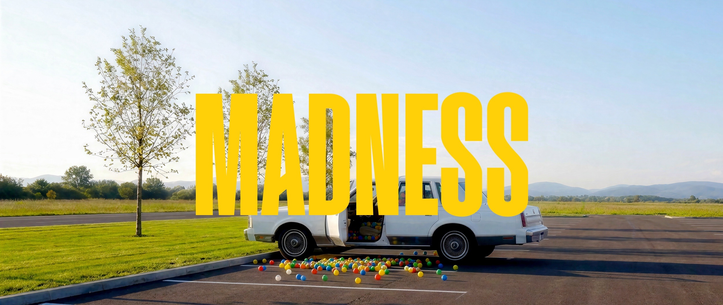 MADNESS