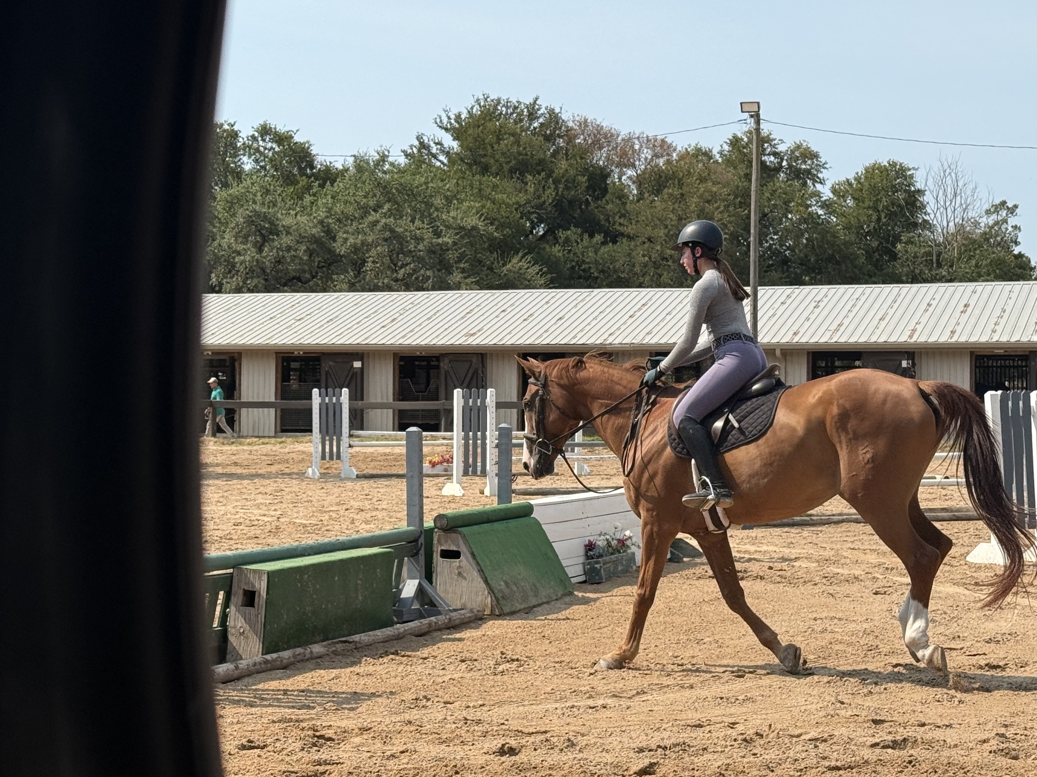 Woman riding a chestnut horse during a lesson at Switch Willo Stables