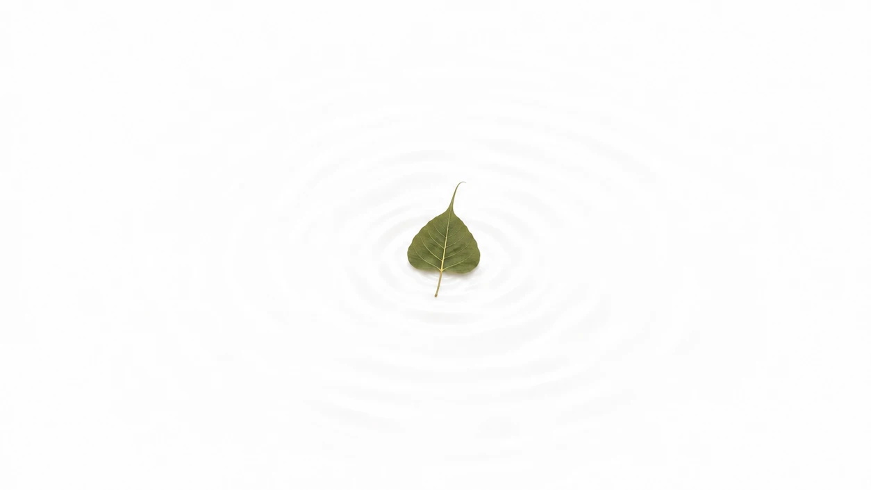 Moment